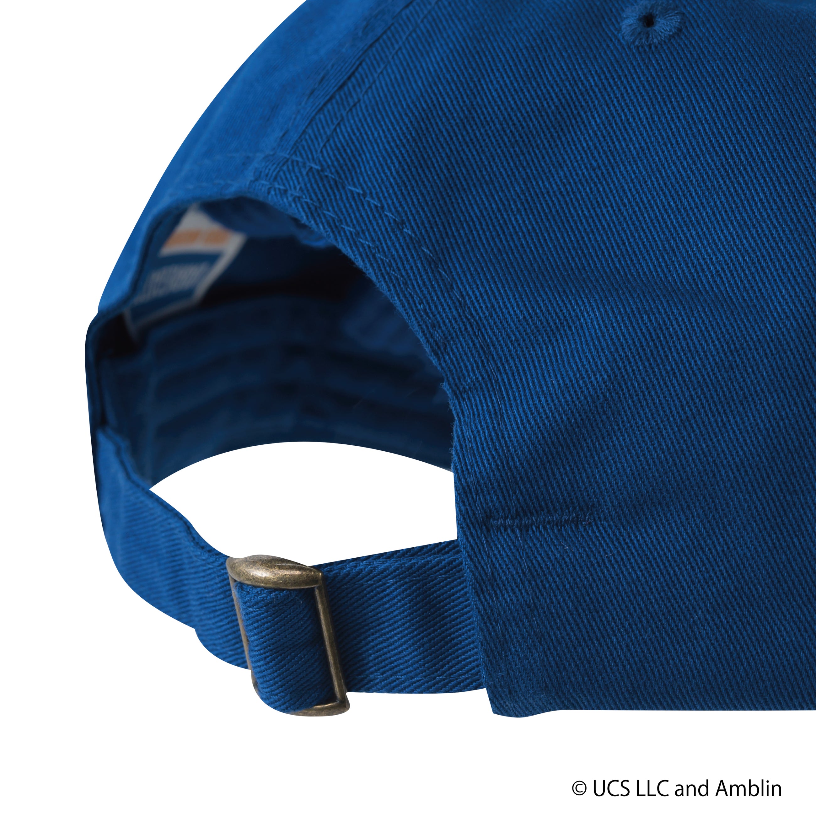 Back to the Future /Cap