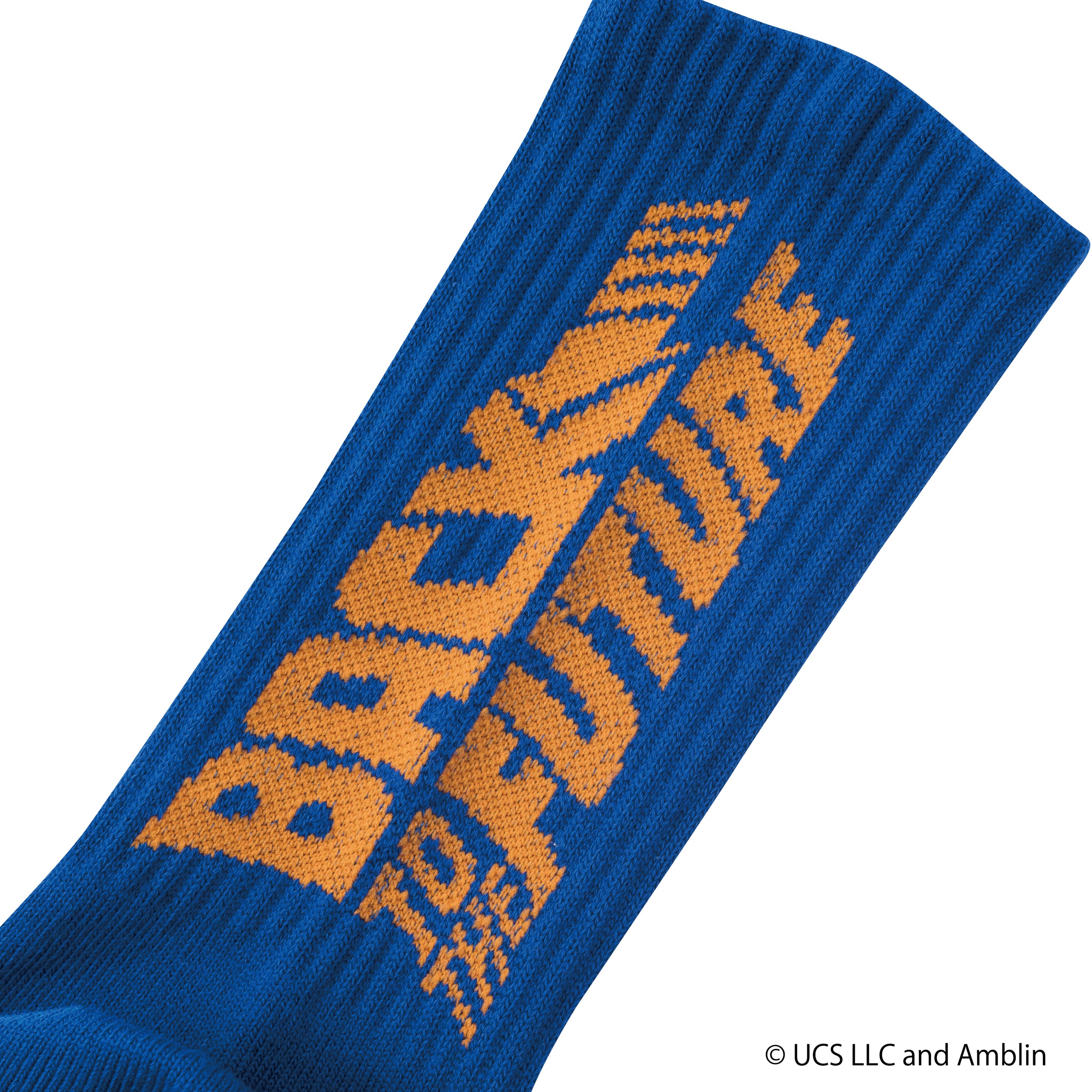 Back to the Future /Socks