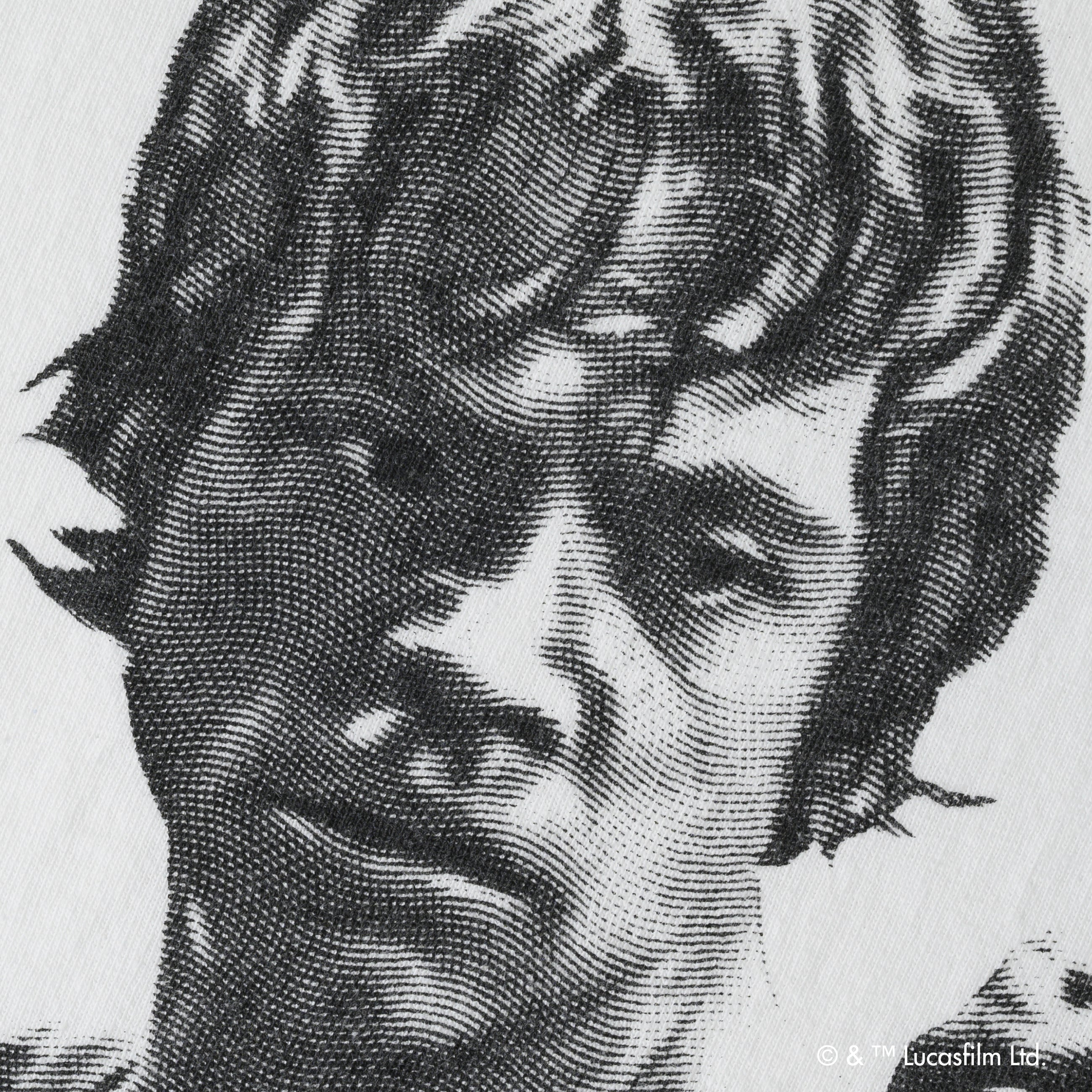 Luke Skywalker & Yoda /Tee