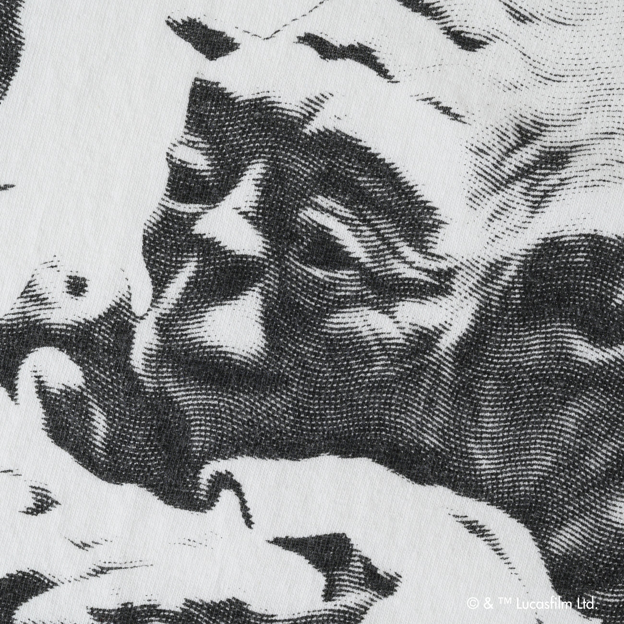 Luke Skywalker & Yoda /Tee