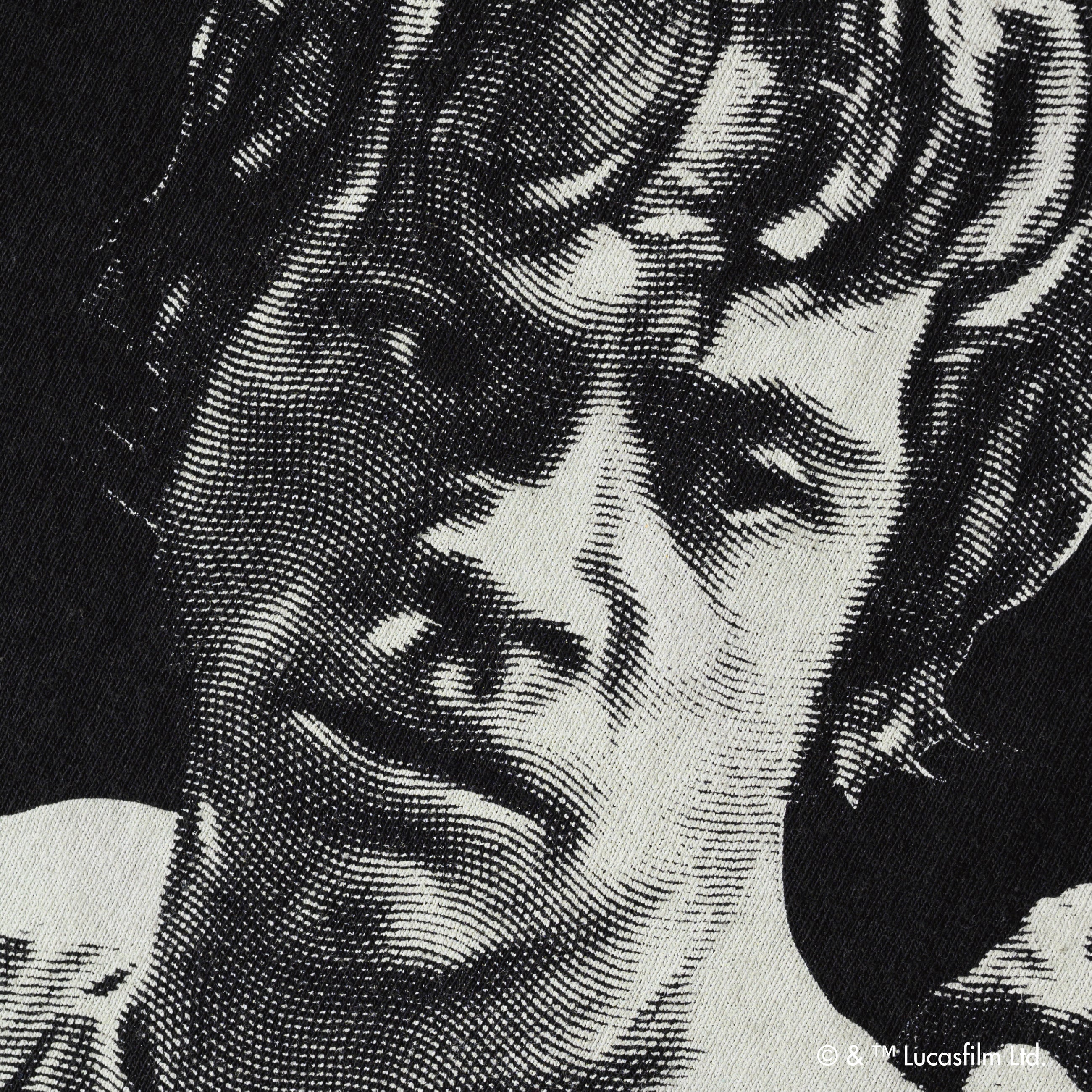 Luke Skywalker & Yoda /Tee