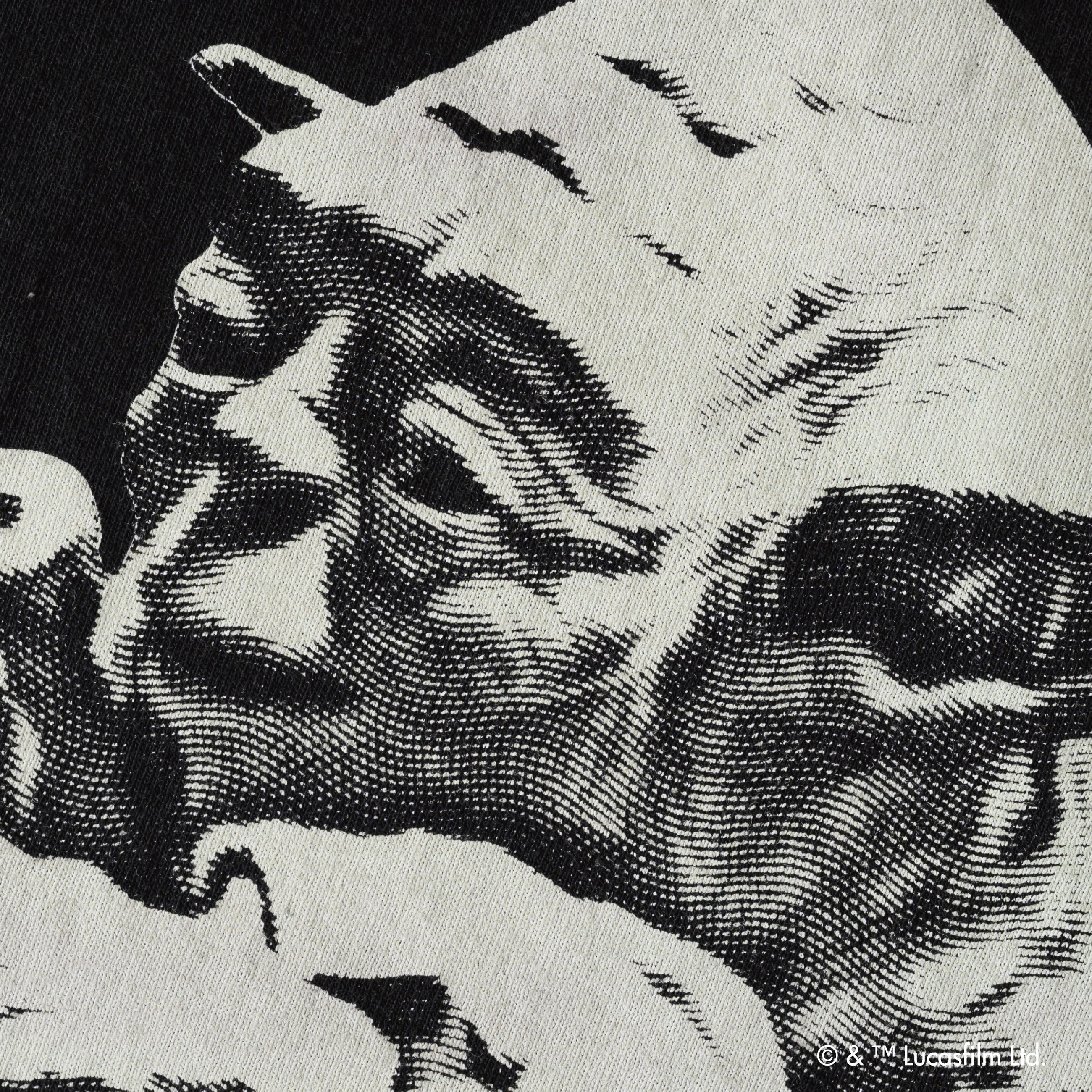 Luke Skywalker & Yoda /Tee