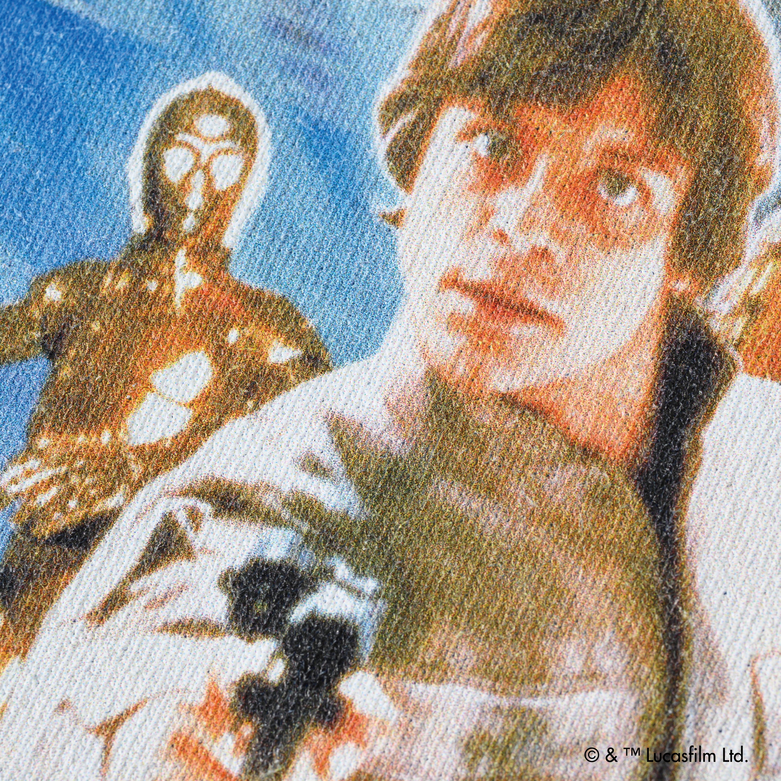 Star Wars: The Empire Strikes Back (Episode V) Ver.2 /Tee