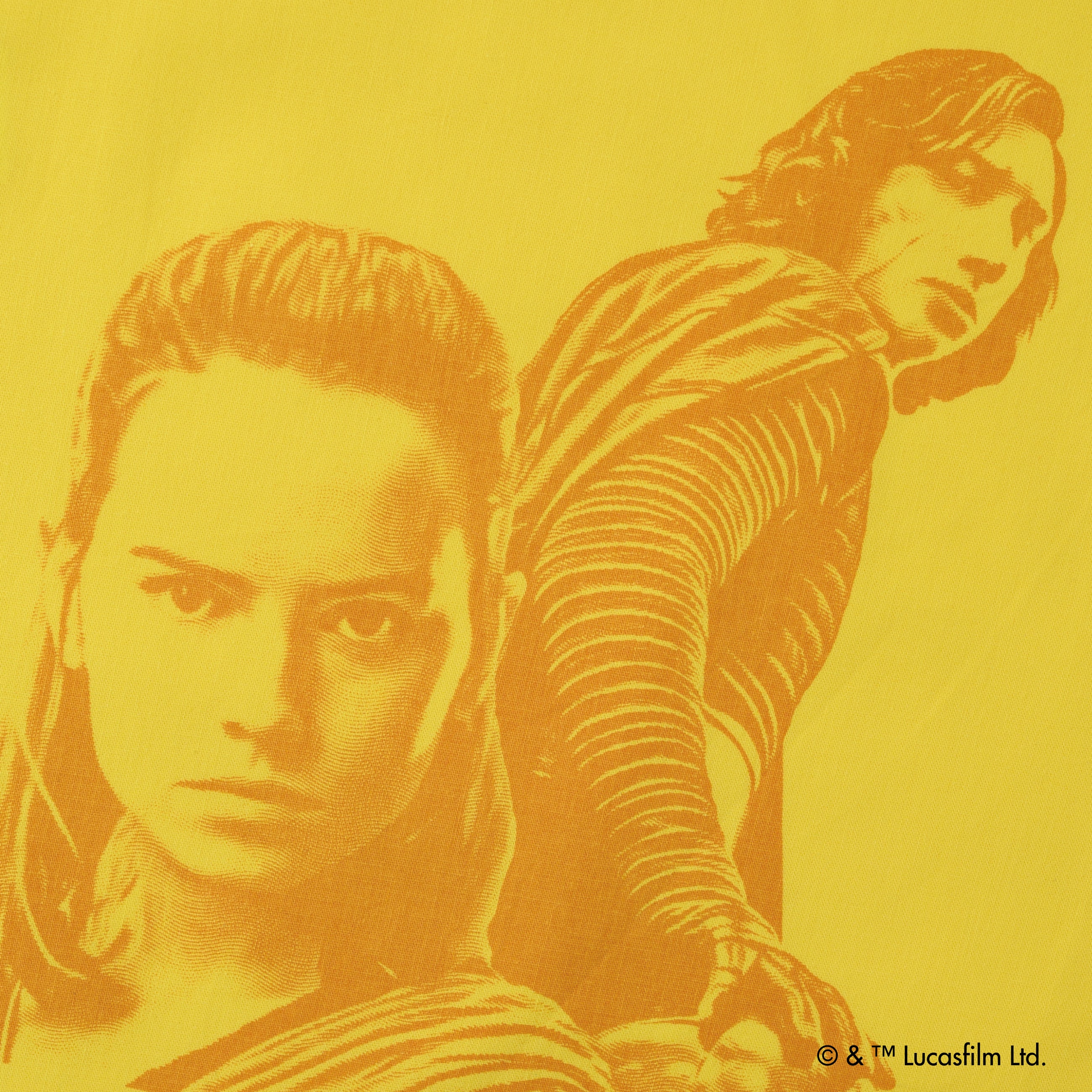 Rey & Kylo Ren /Tote bag