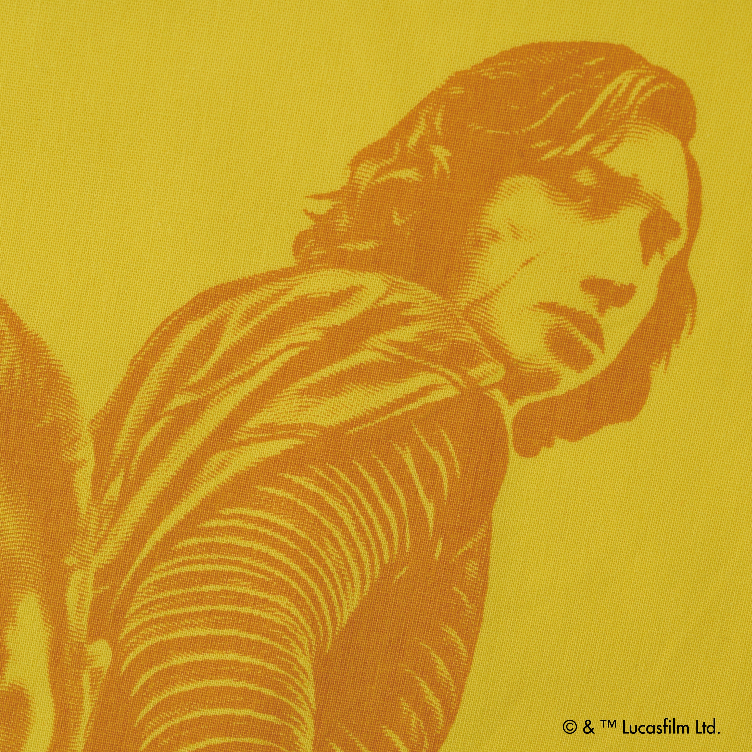 Rey & Kylo Ren /Tote bag