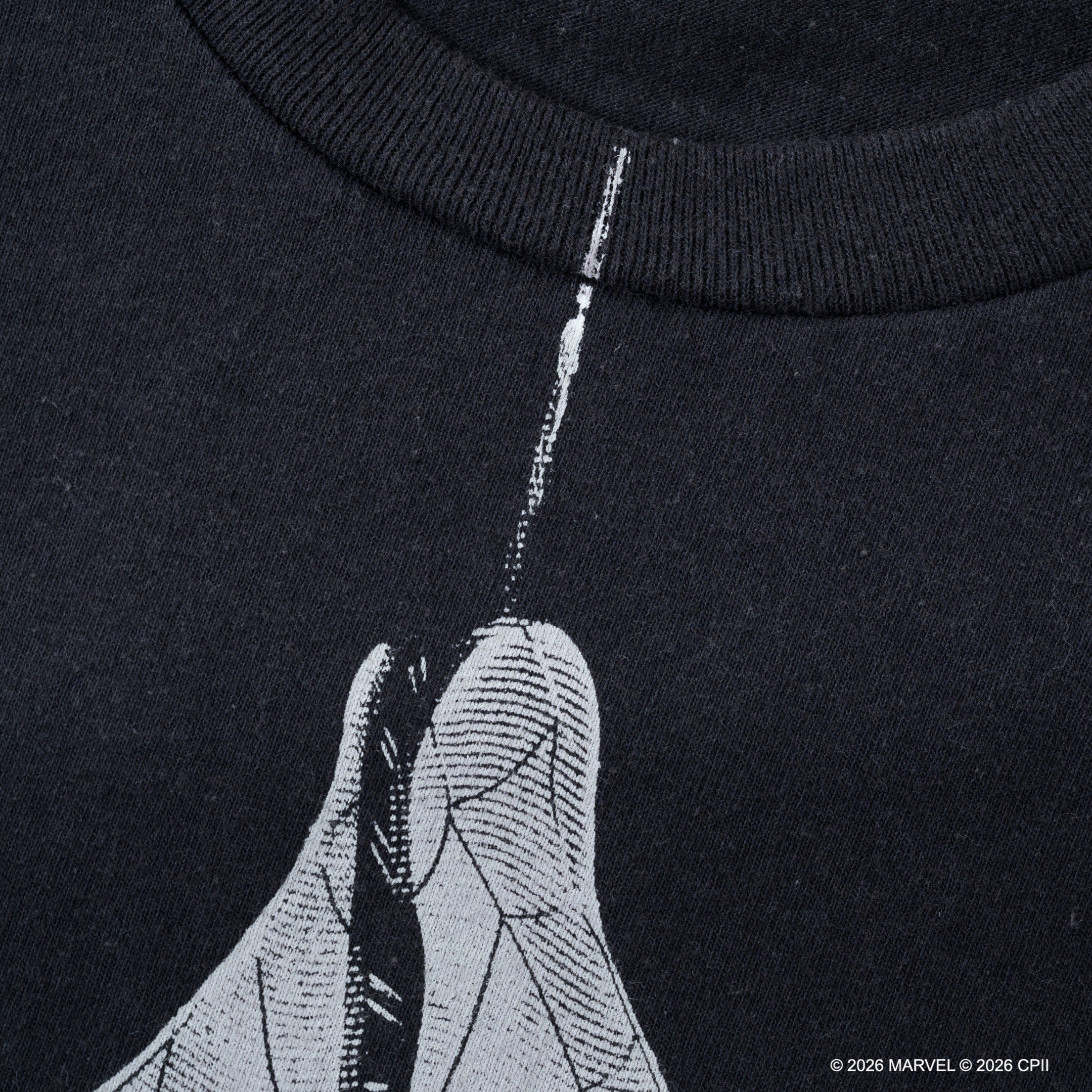 Spider-Man Photo /Tee