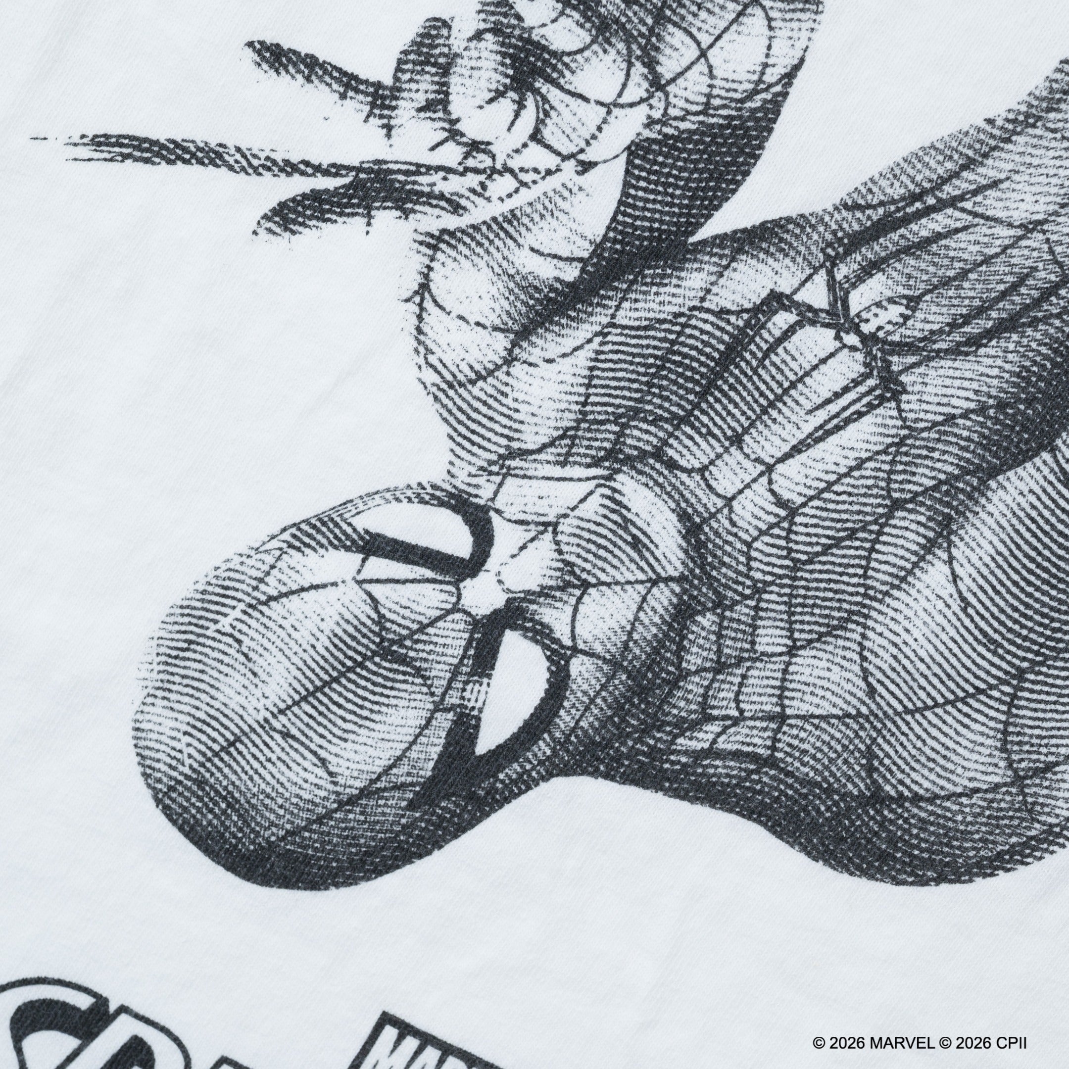 Spider-Man Photo /Tee