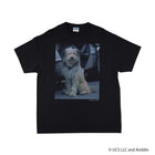 Einstein /Tee