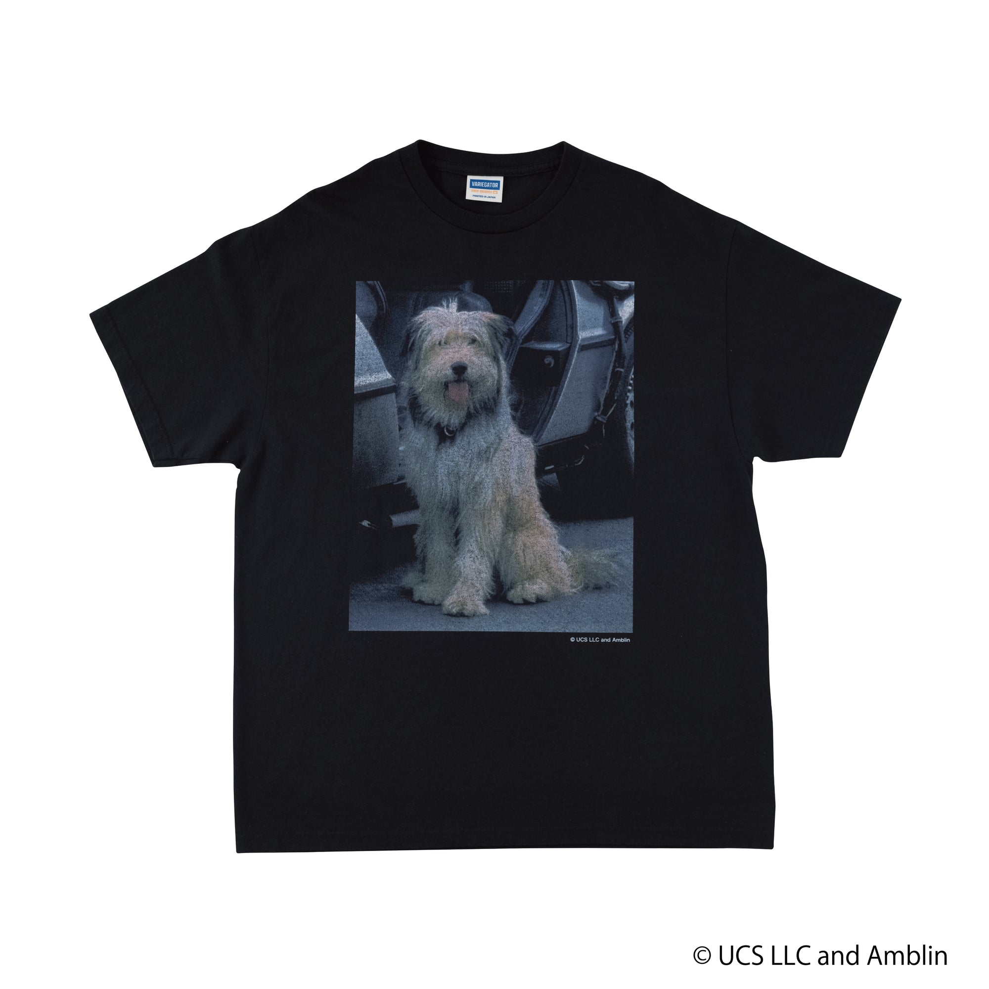 Einstein /Tee