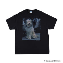 Einstein /Tee