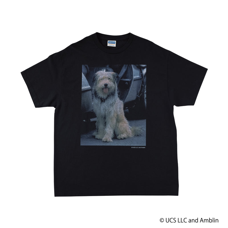 Einstein /Tee