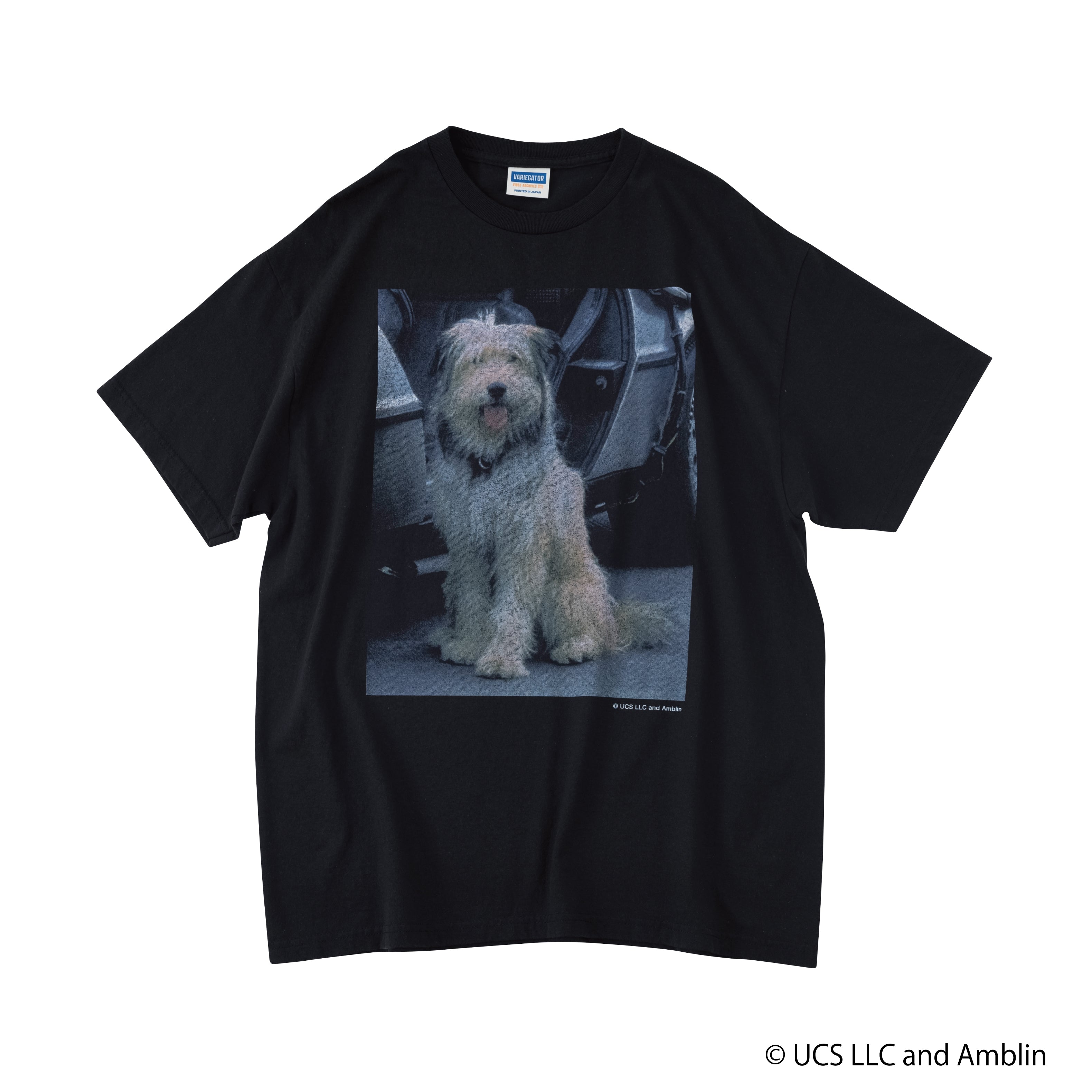 Einstein /Tee | VARIEGATOR
