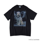 Einstein /Tee