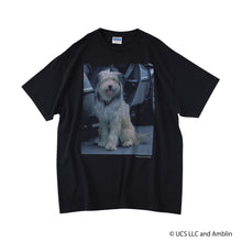 Einstein /Tee