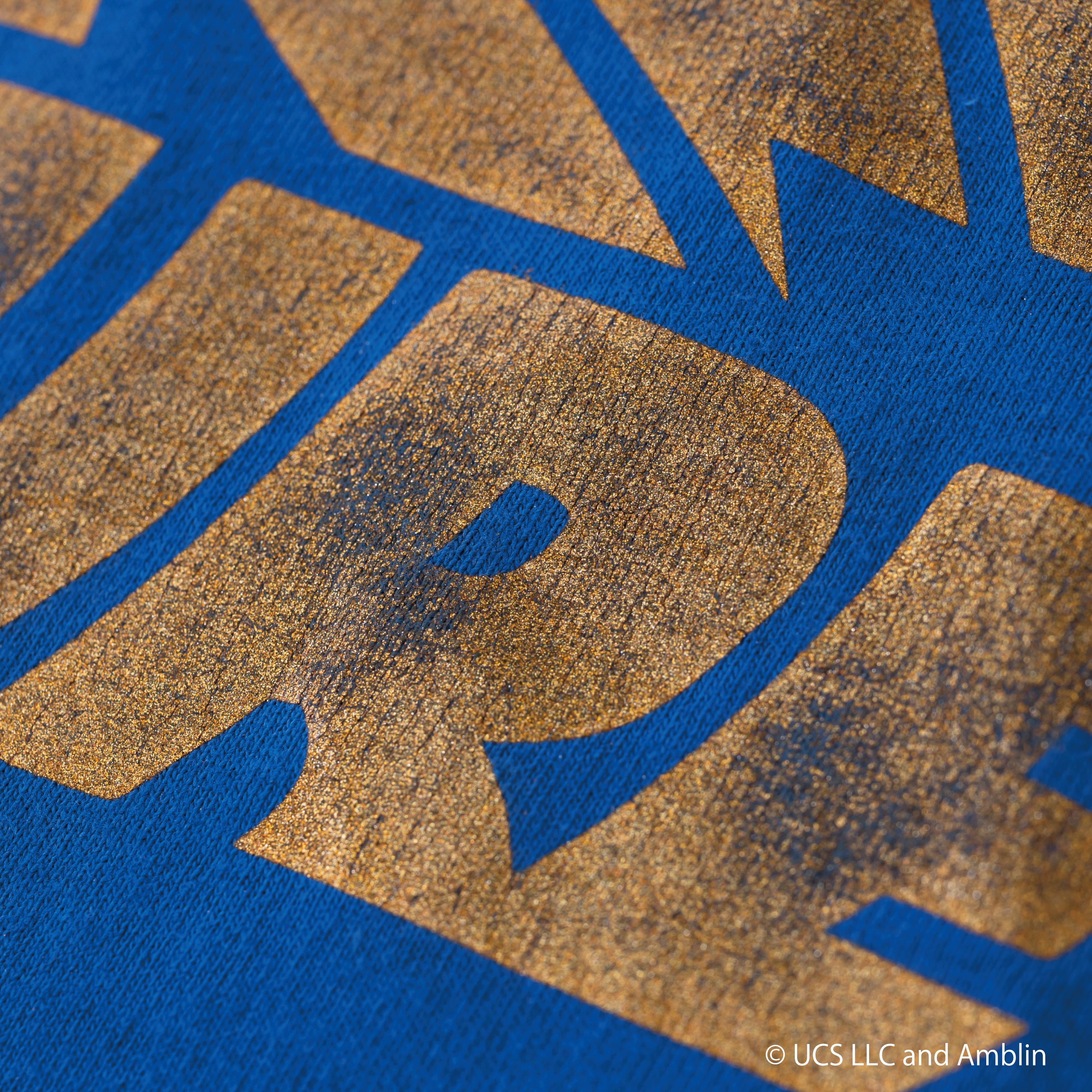 Back to the Future /Tee | VARIEGATOR