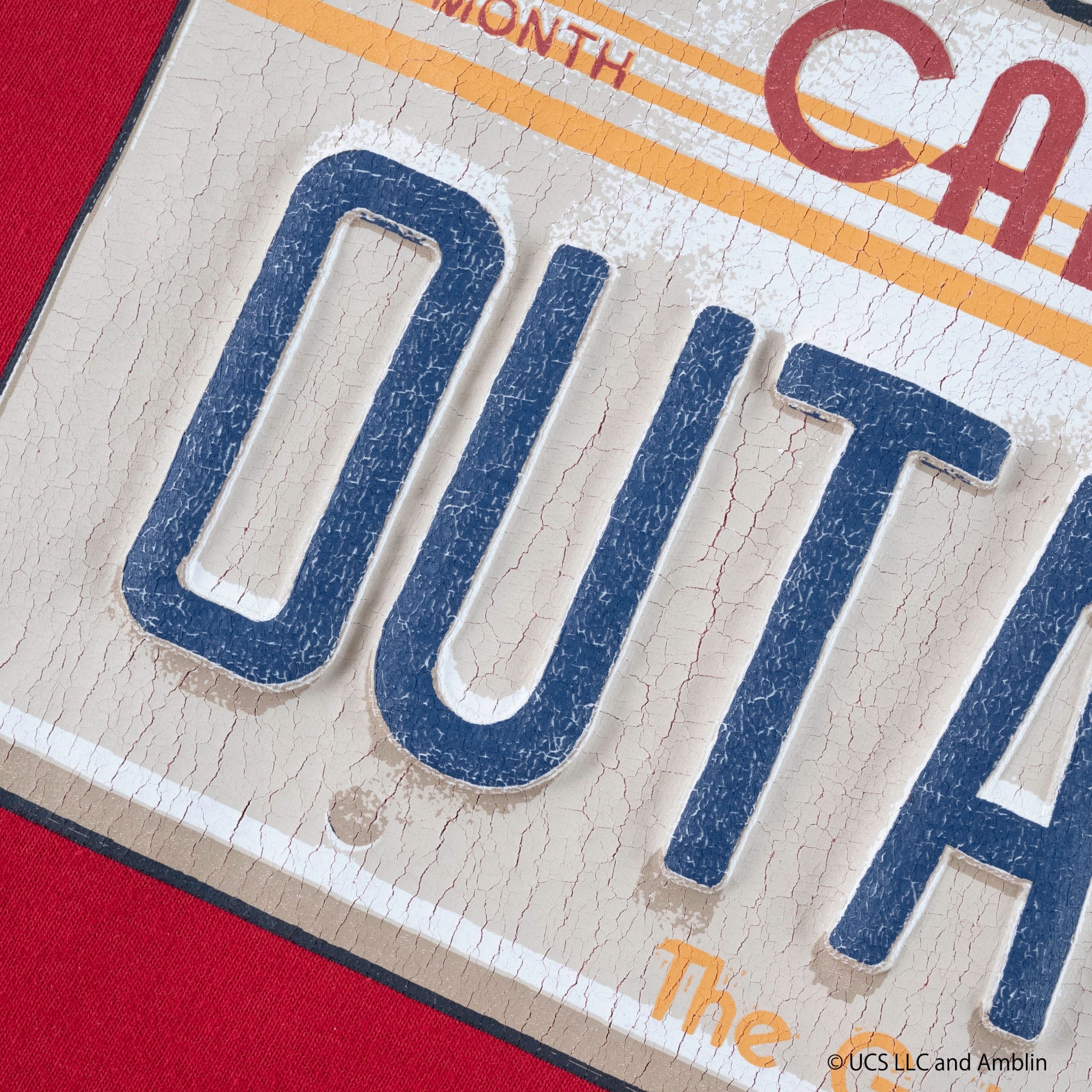 NUMBER PLATE /Tee | VARIEGATOR