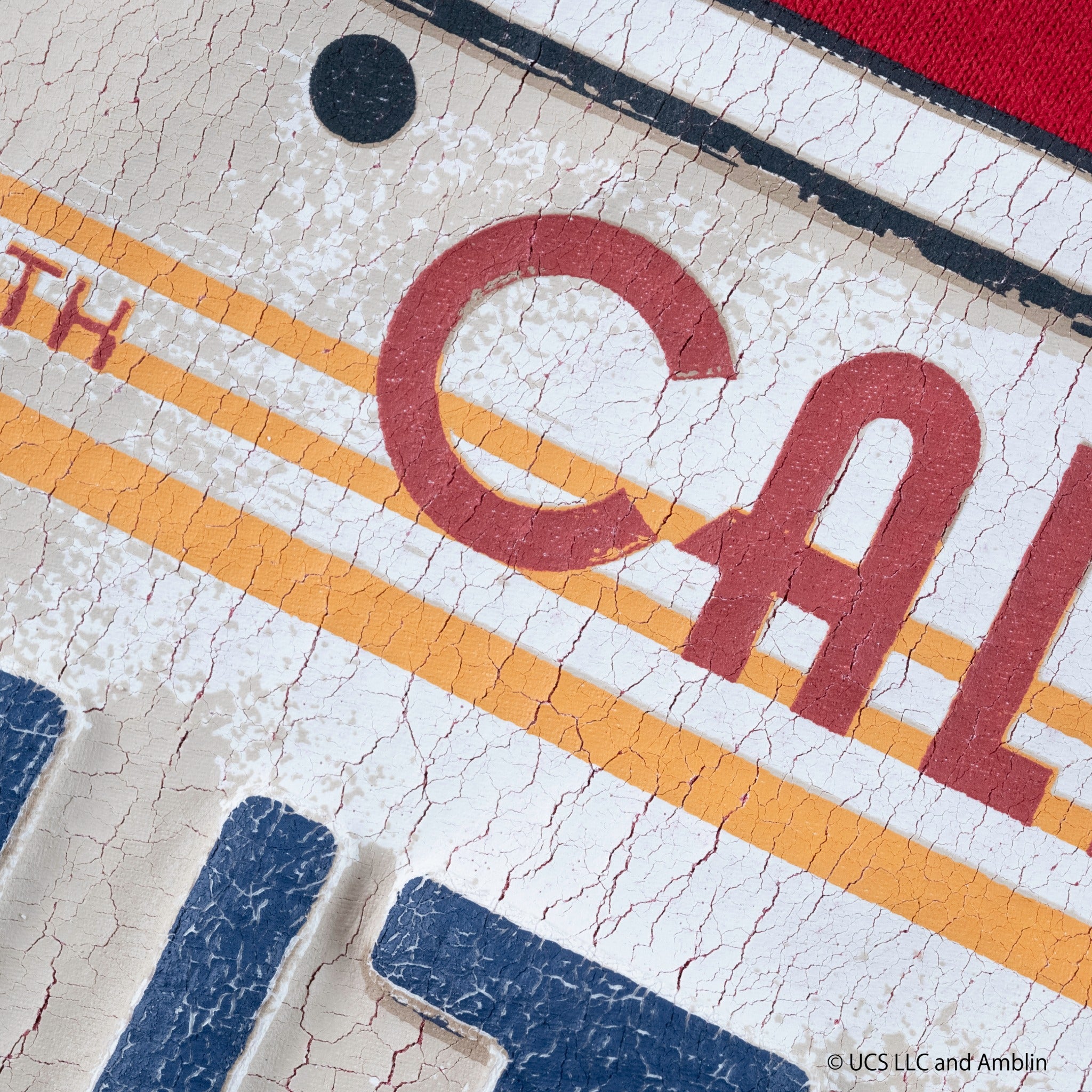 NUMBER PLATE /Tee | VARIEGATOR