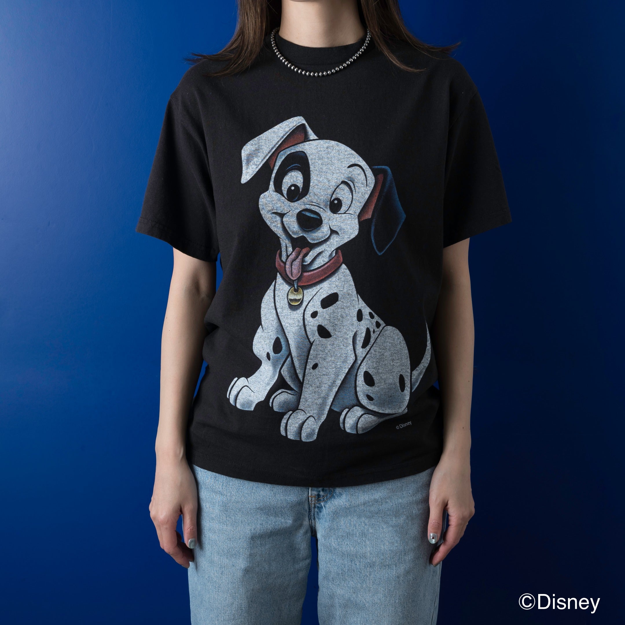 DISNEY』 | VARIEGATOR
