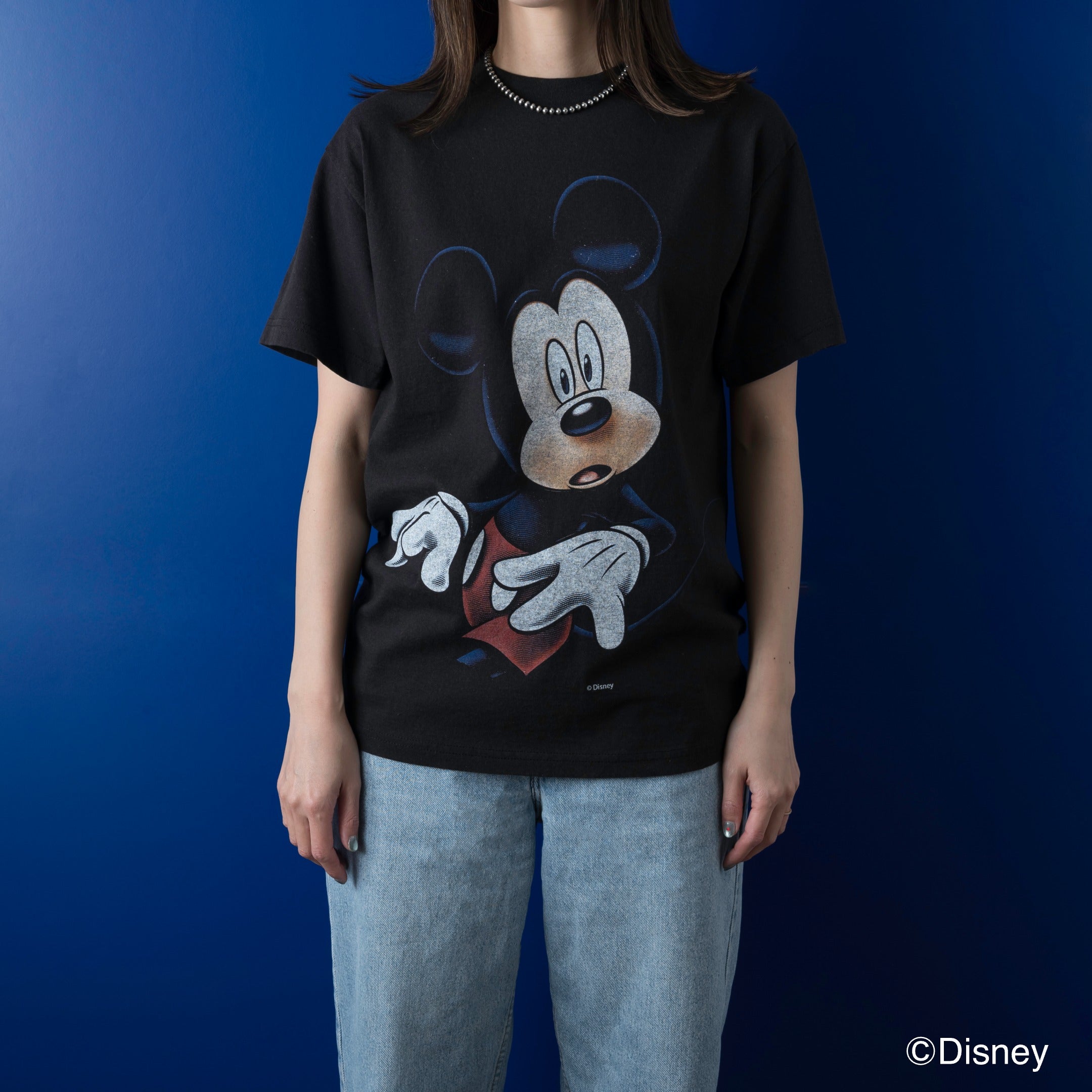 DISNEY』 | VARIEGATOR