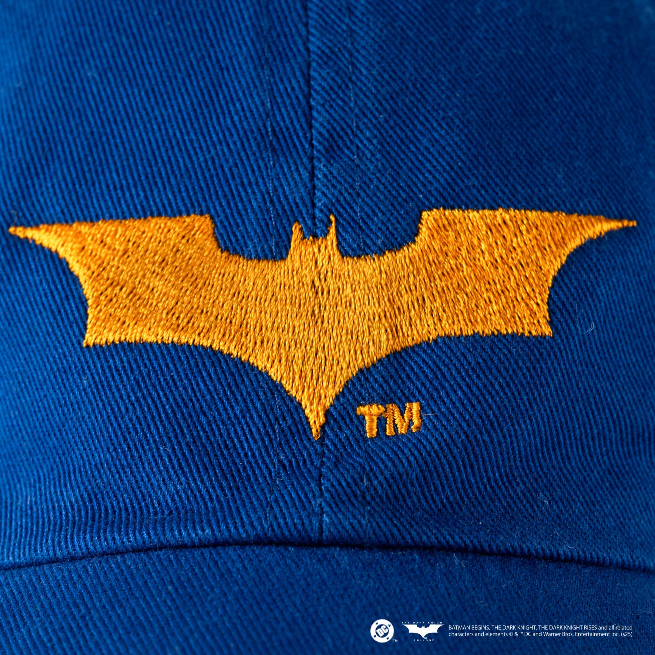 The Dark Knight Logo /Cap | VARIEGATOR