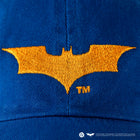 The Dark Knight Logo /Cap