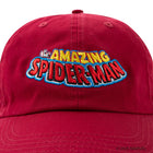 Spider-Man /Cap