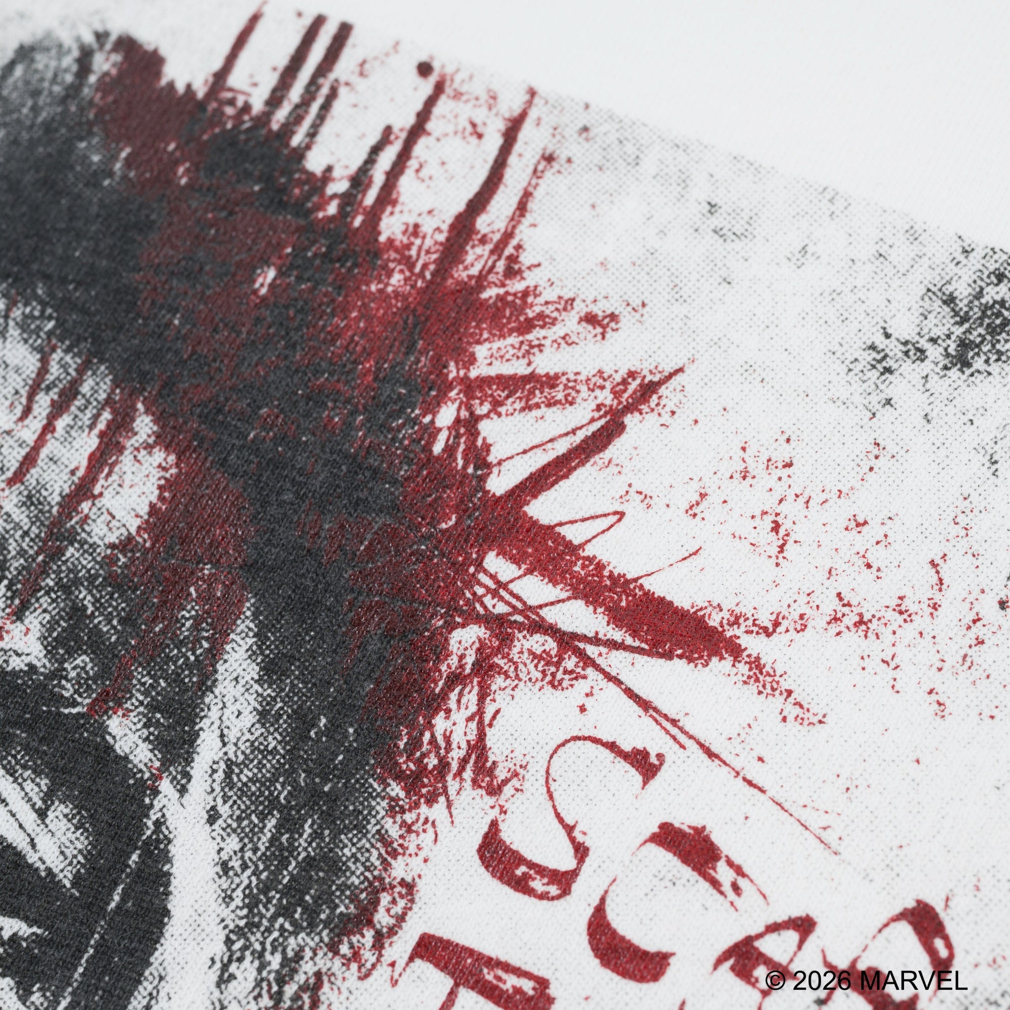 Punisher /Tee