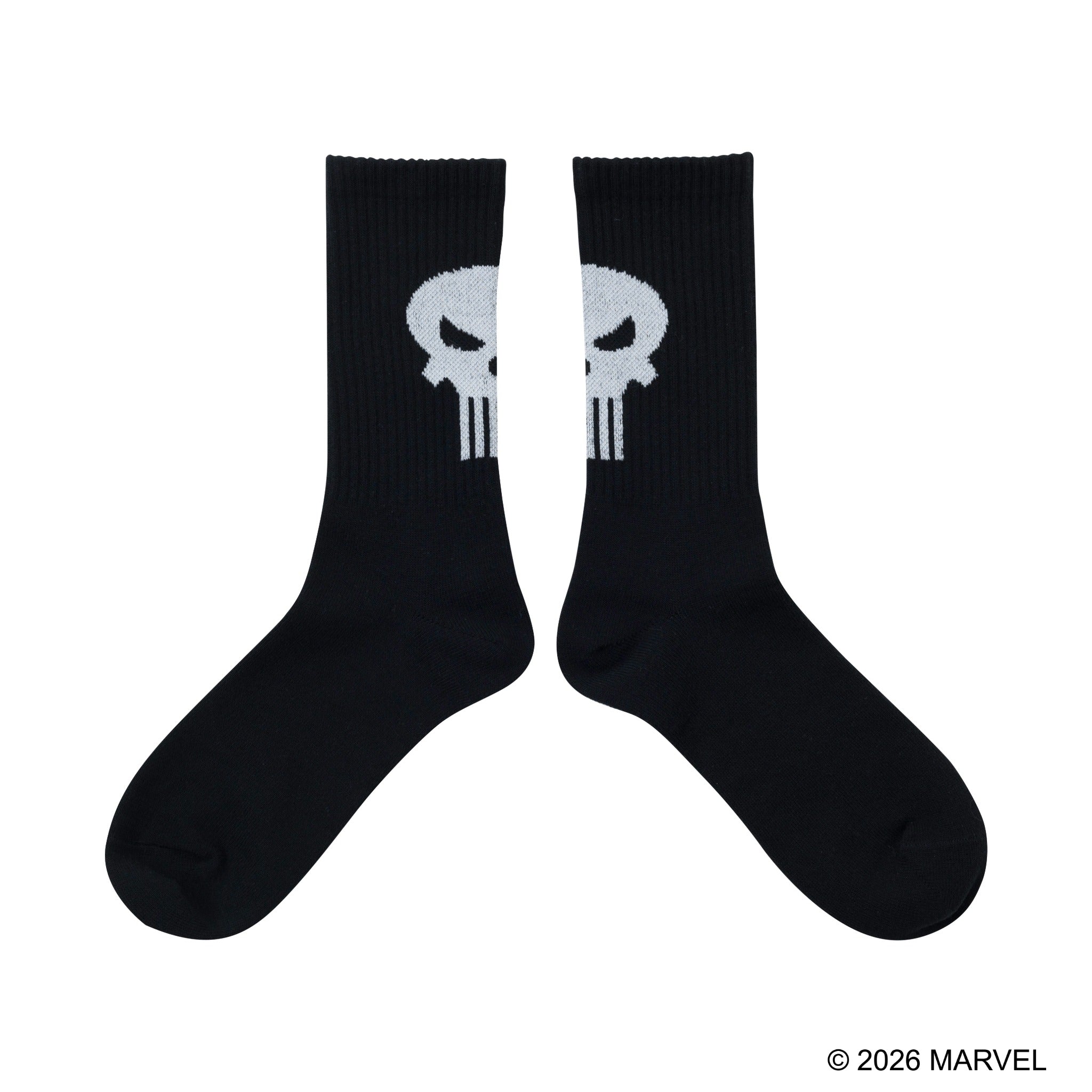 SOCKS | VARIEGATOR
