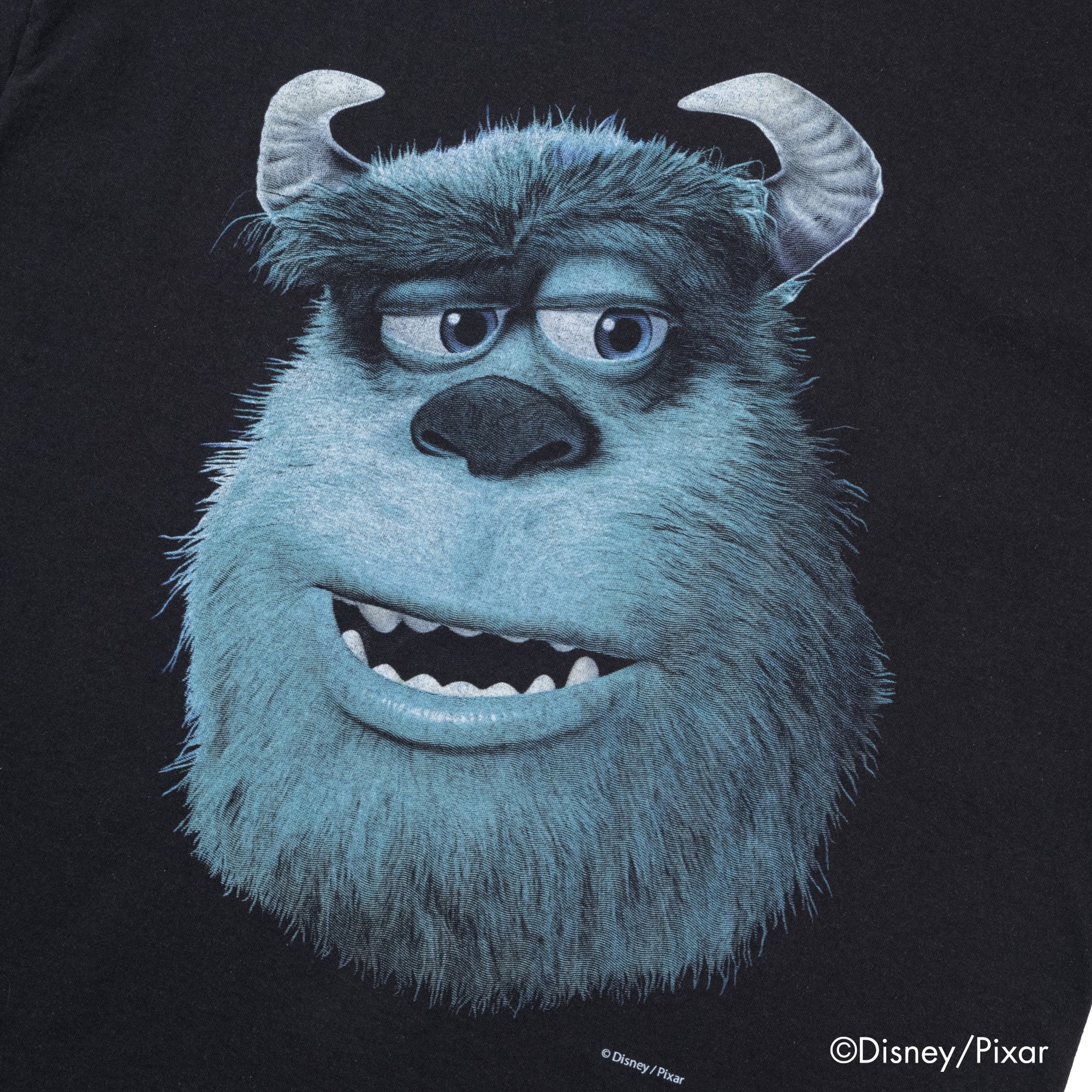 Sully /Tee
