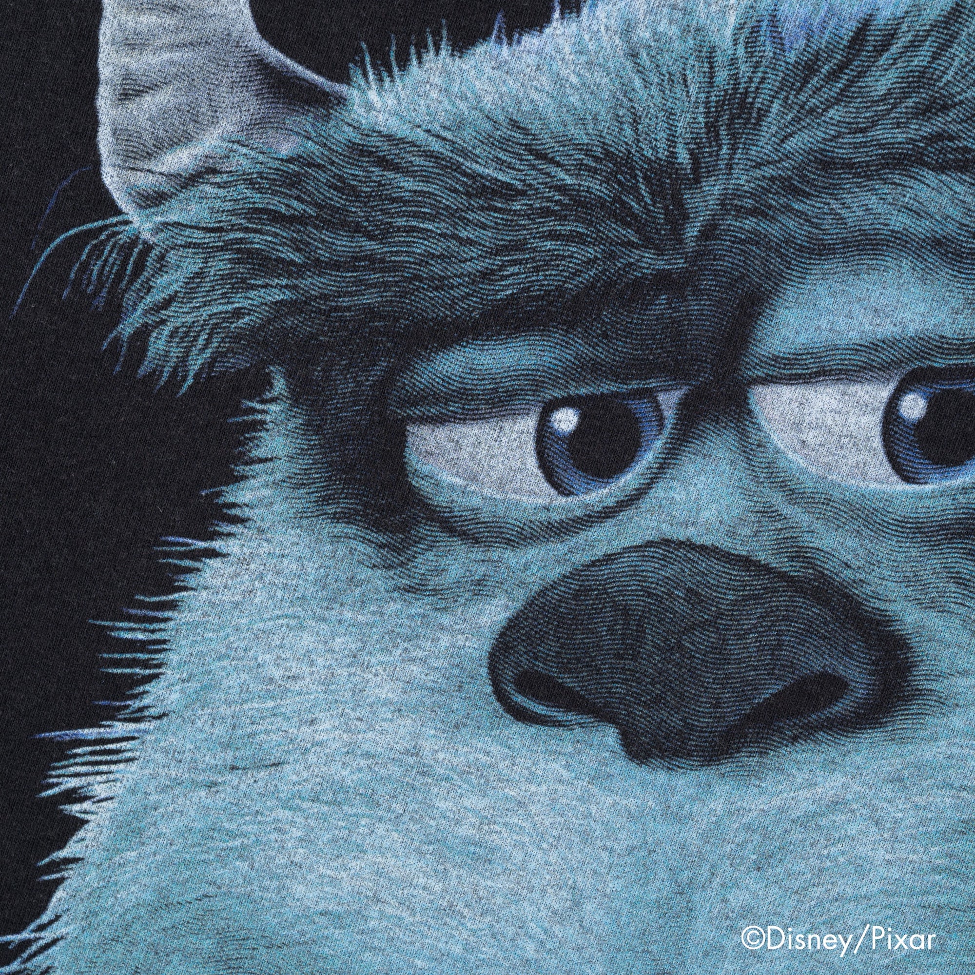 Sully /Tee