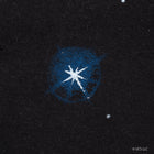 E.T. The Touching Point (Exclusive) / Tee