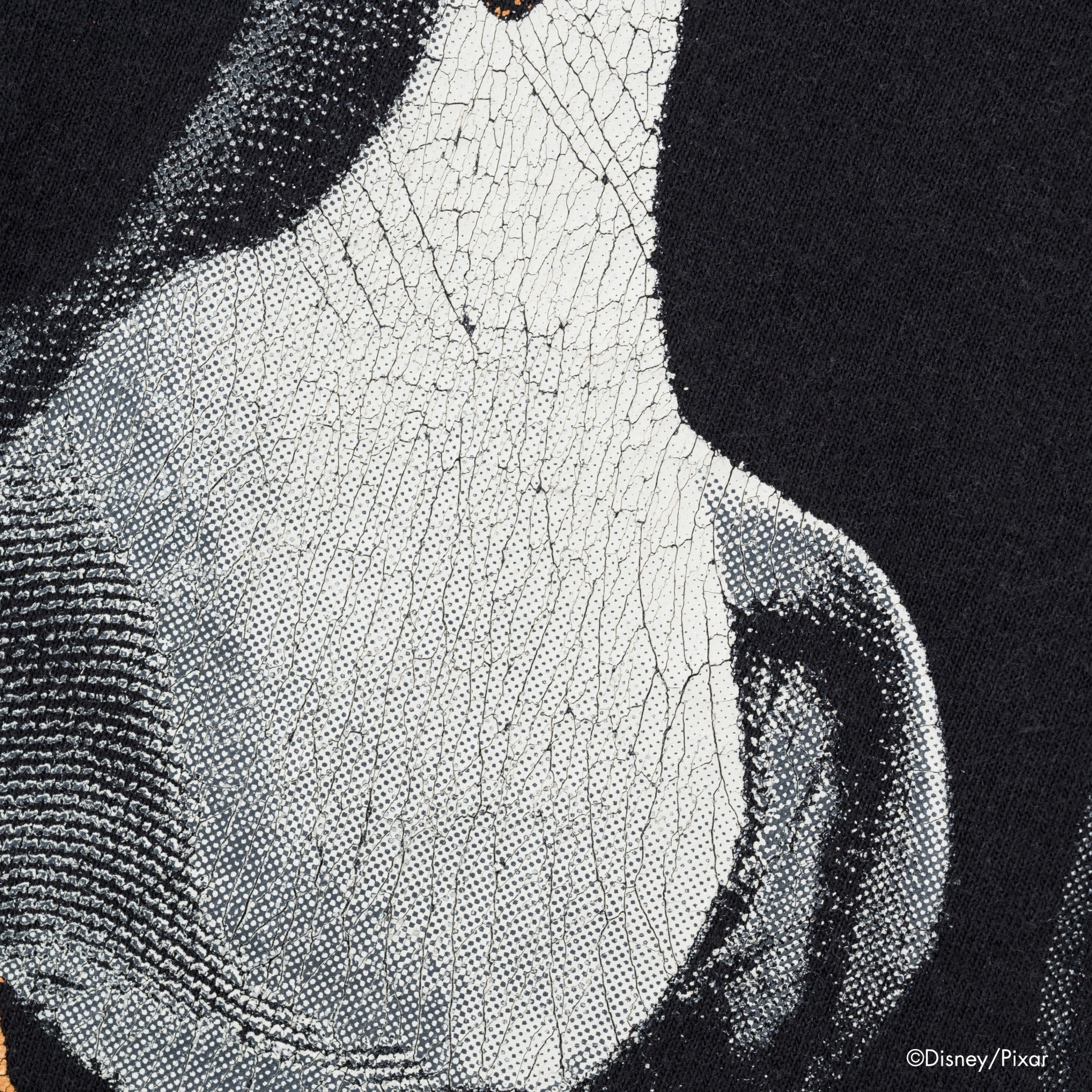 Seagulls /Tee (Exclusive) | VARIEGATOR