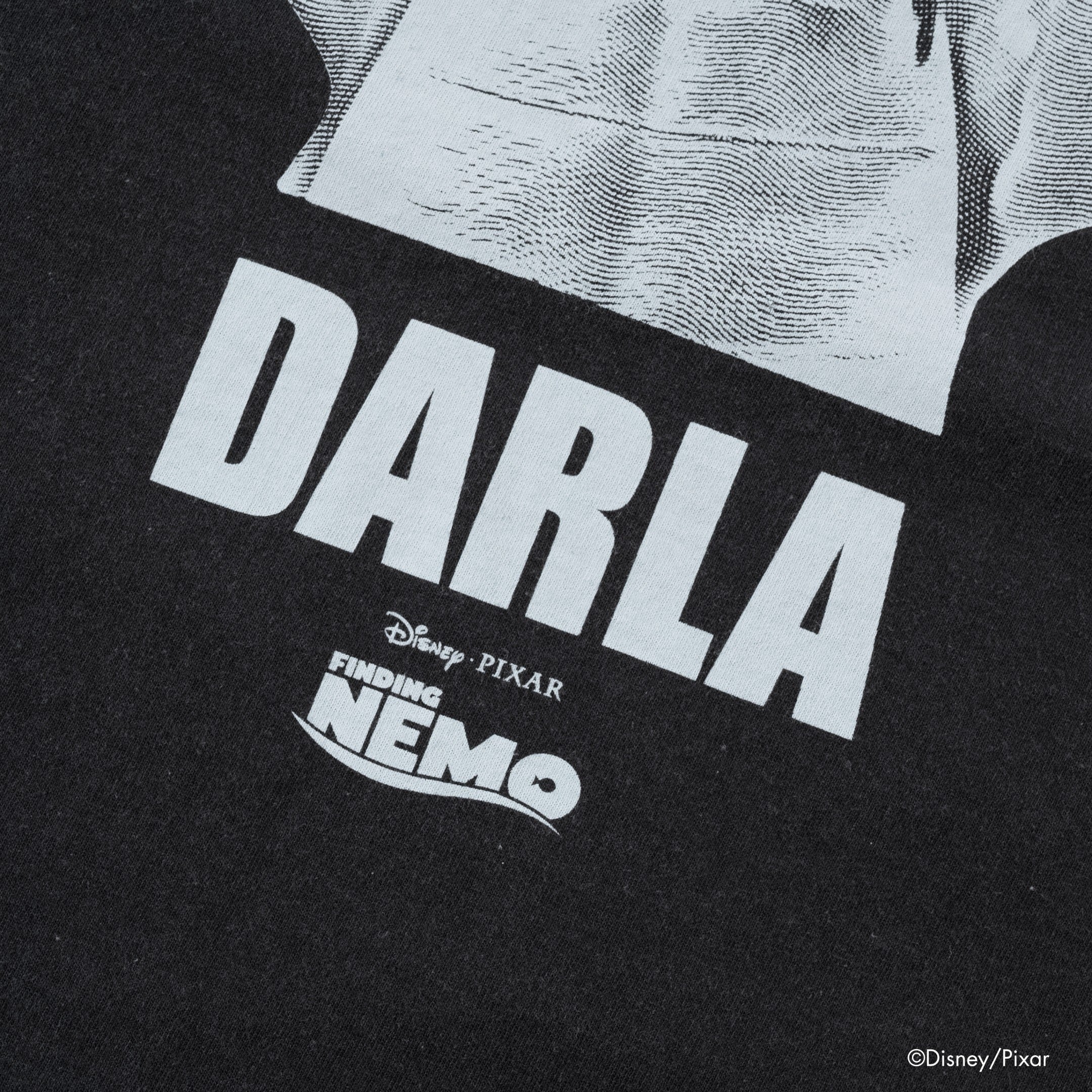 Darla Photo /Tee | VARIEGATOR