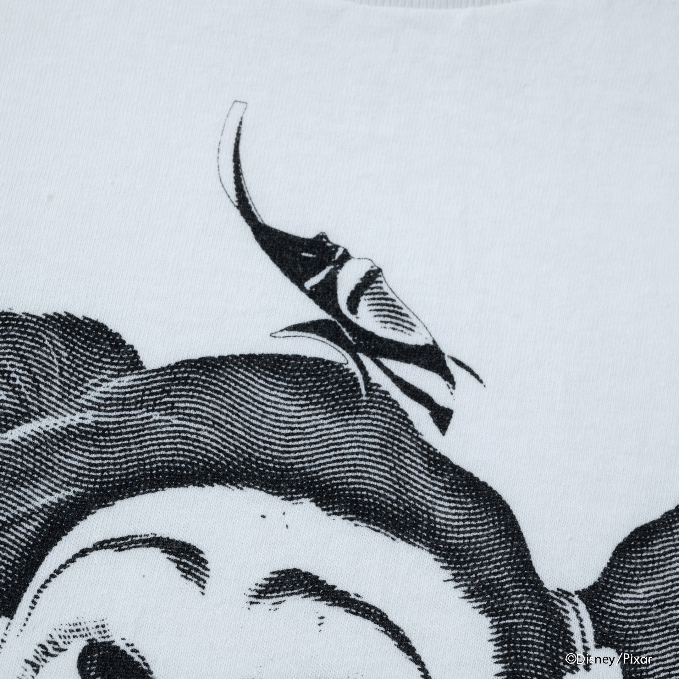 Darla Photo /Tee | VARIEGATOR