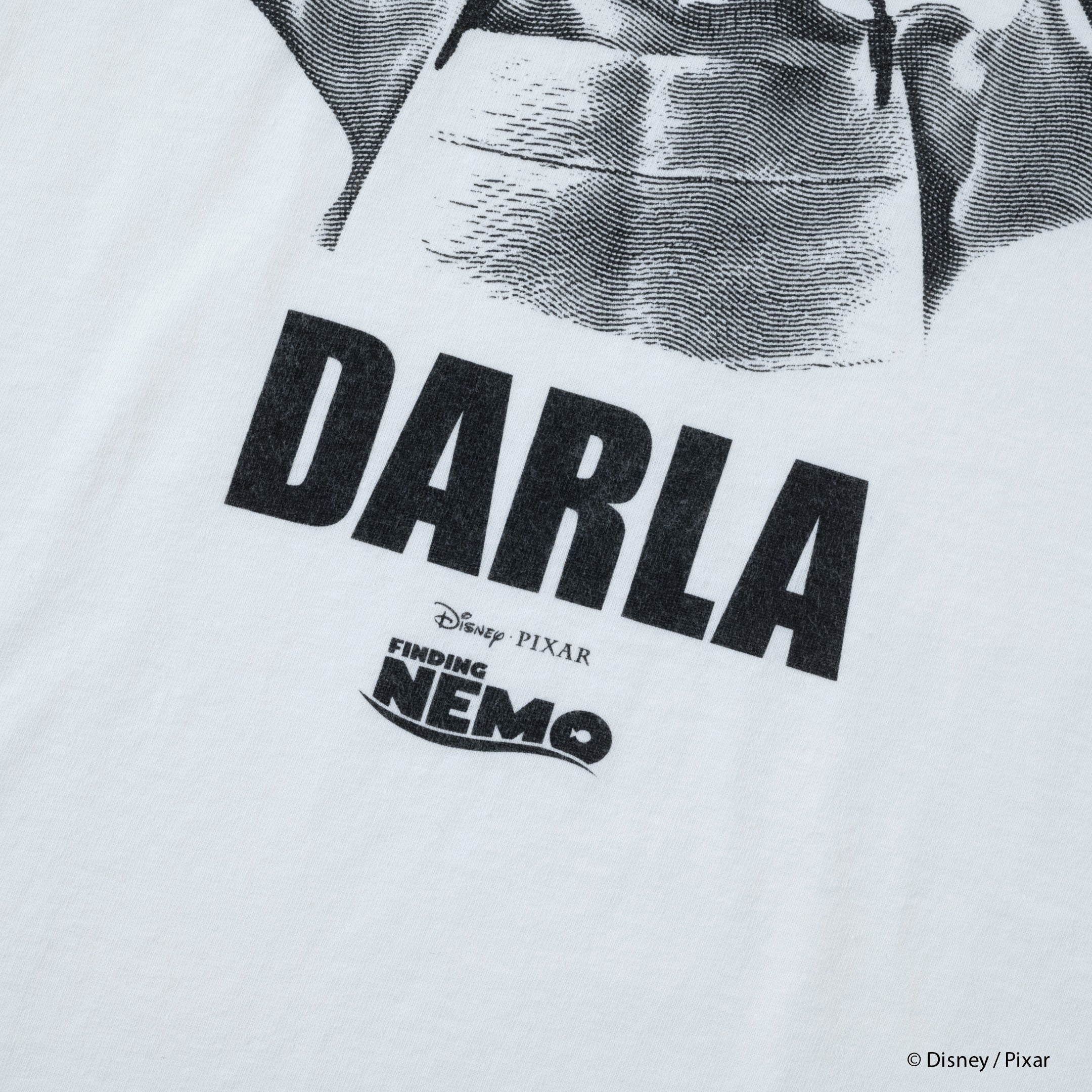 Darla Photo /Tee | VARIEGATOR