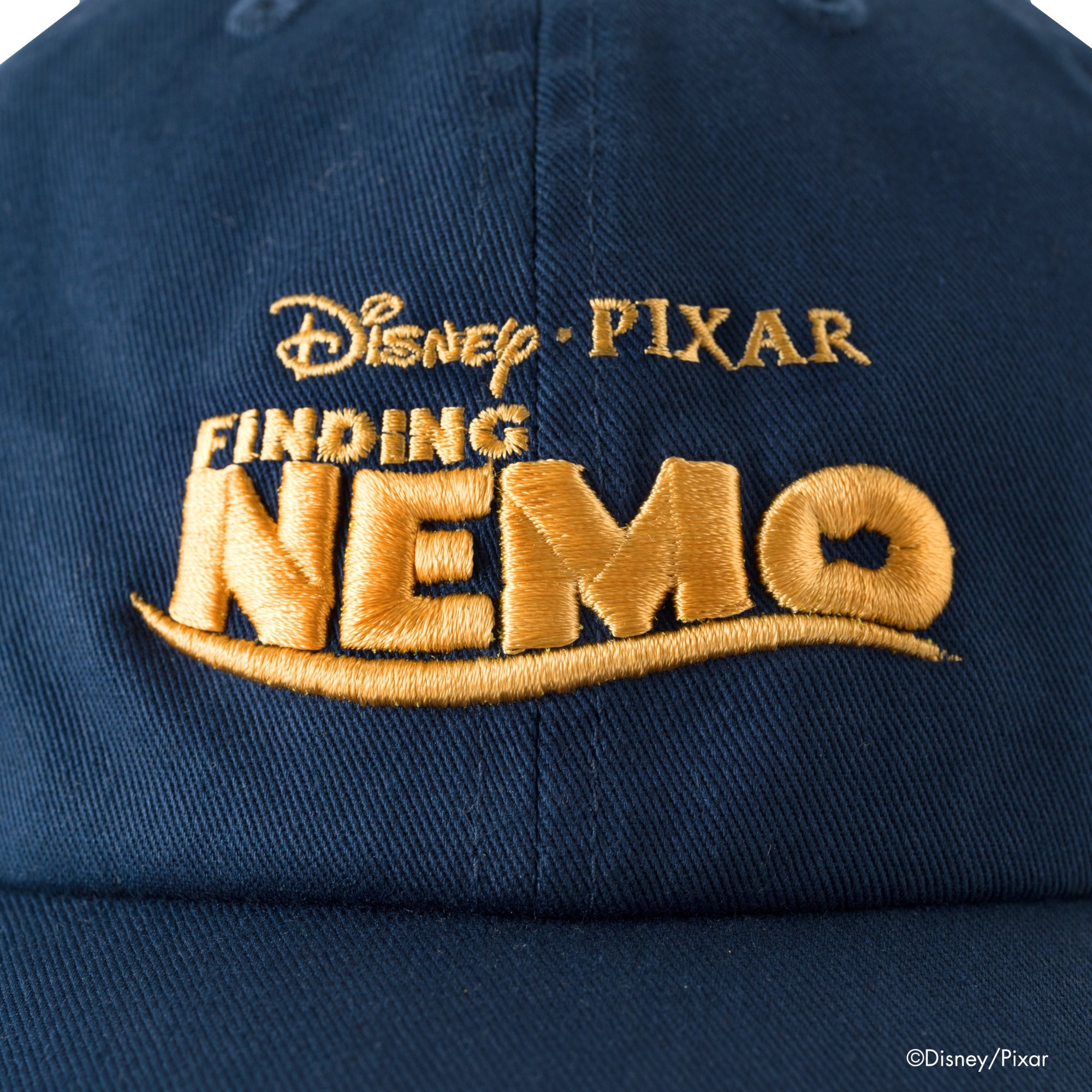 Nemo Logo /Cap