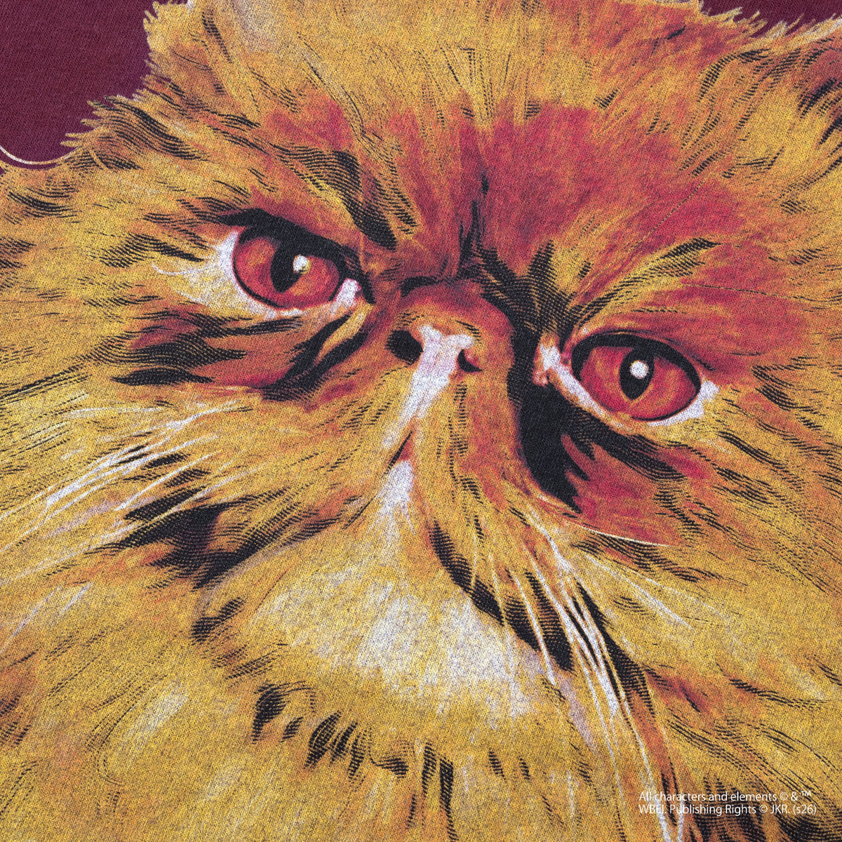 Crookshanks / Tee