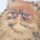 Crookshanks / Tee