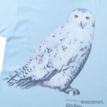 Hedwig / Tee