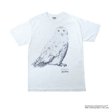 Hedwig / Tee