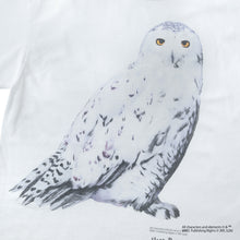 Hedwig / Tee