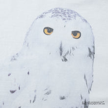 Hedwig / Tee