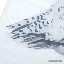 Hedwig / Tee