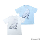 Hedwig / Tee
