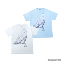 Hedwig / Tee