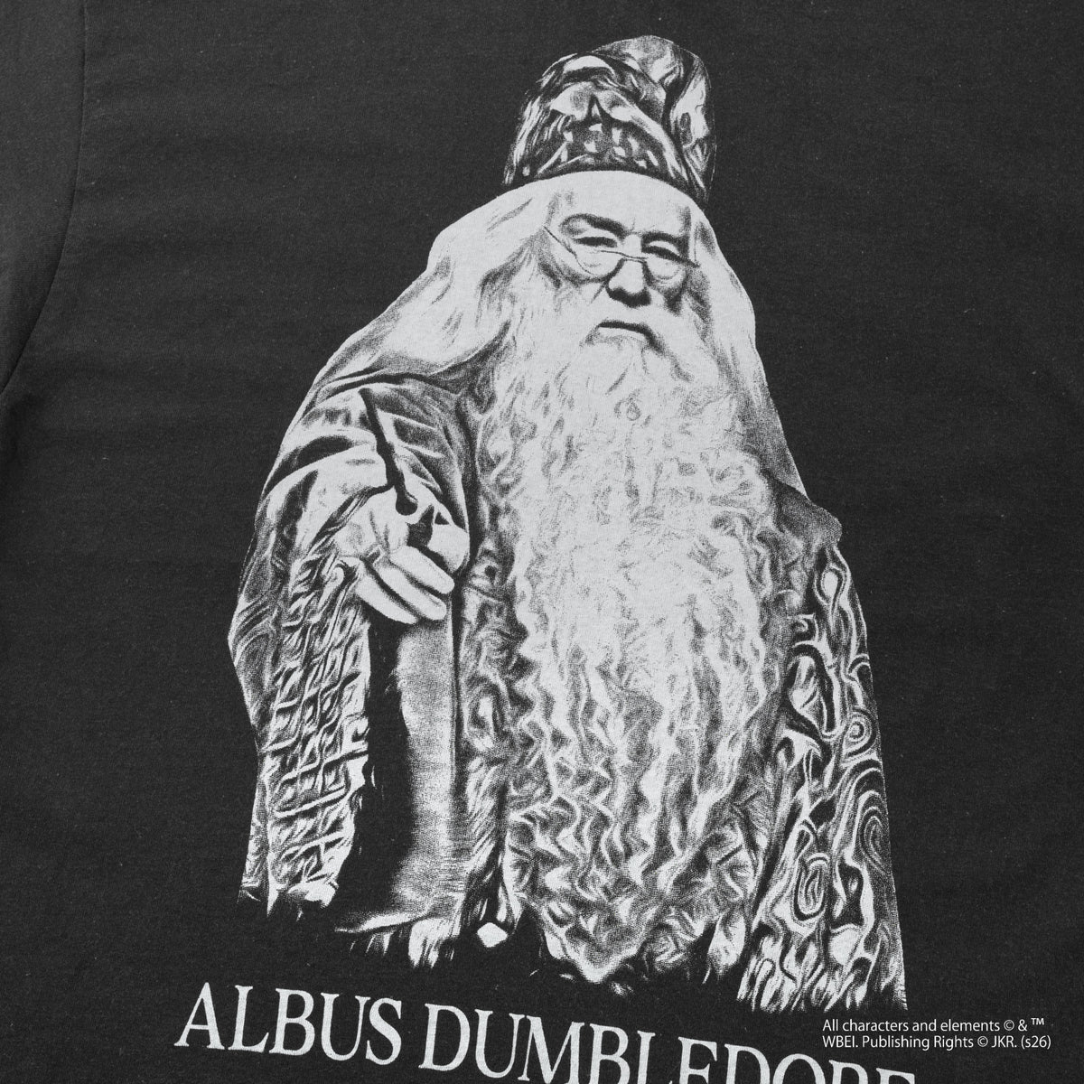 Albus Dumbledore / Tee