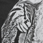 Albus Dumbledore / Tee