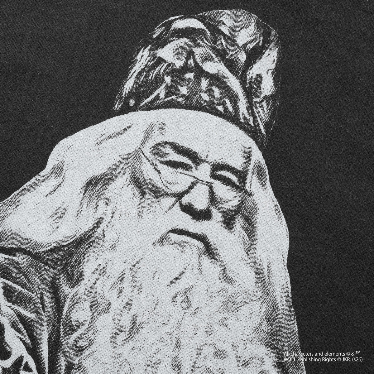 Albus Dumbledore / Tee