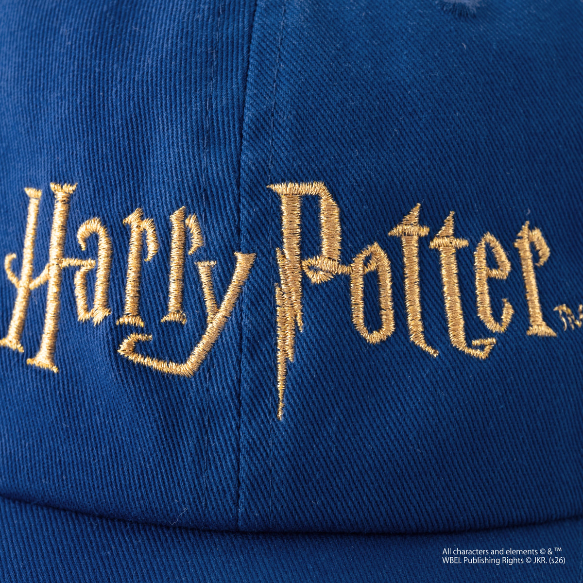 Harry Potter Logo / Cap