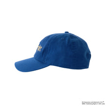Harry Potter Logo / Cap